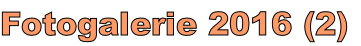 Fotogalerie 2016 (2)
