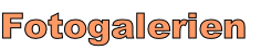 Fotogalerien
