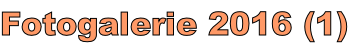 Fotogalerie 2016 (1)

