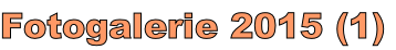 Fotogalerie 2015 (1)
